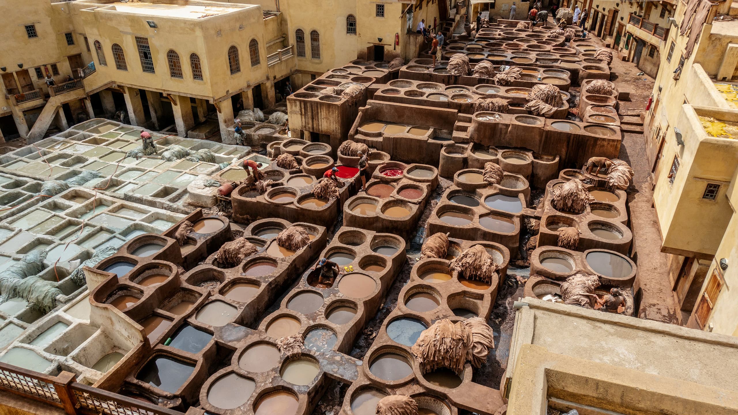 Arbeiter in Gerberei in Fes