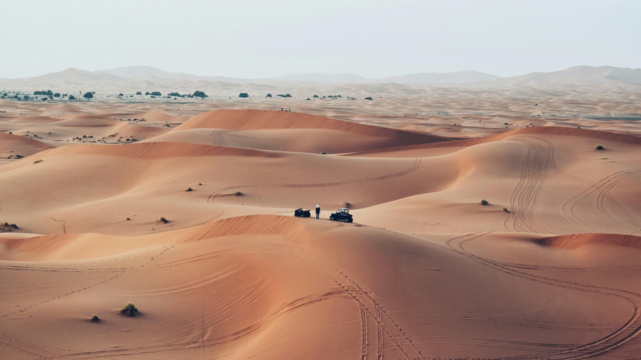 wüstenlandschaft mit zwei stehenden Baggys auf einem kleinen Sandberg
